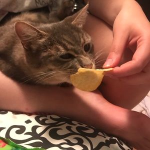 Meet your Posher, Sydney